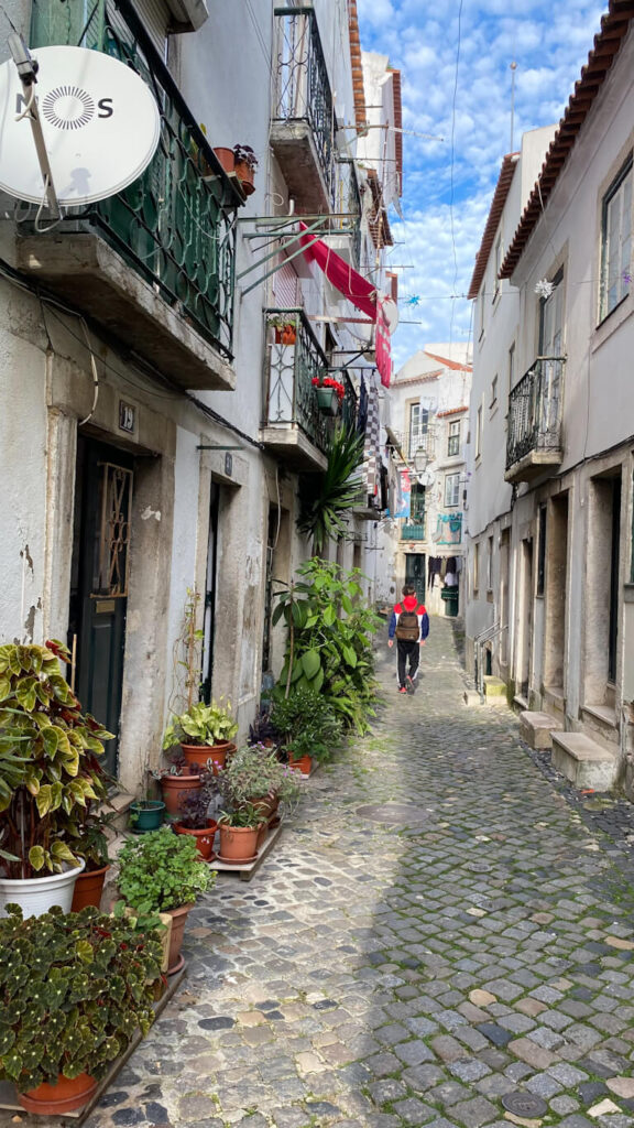 vibrant street of alfama