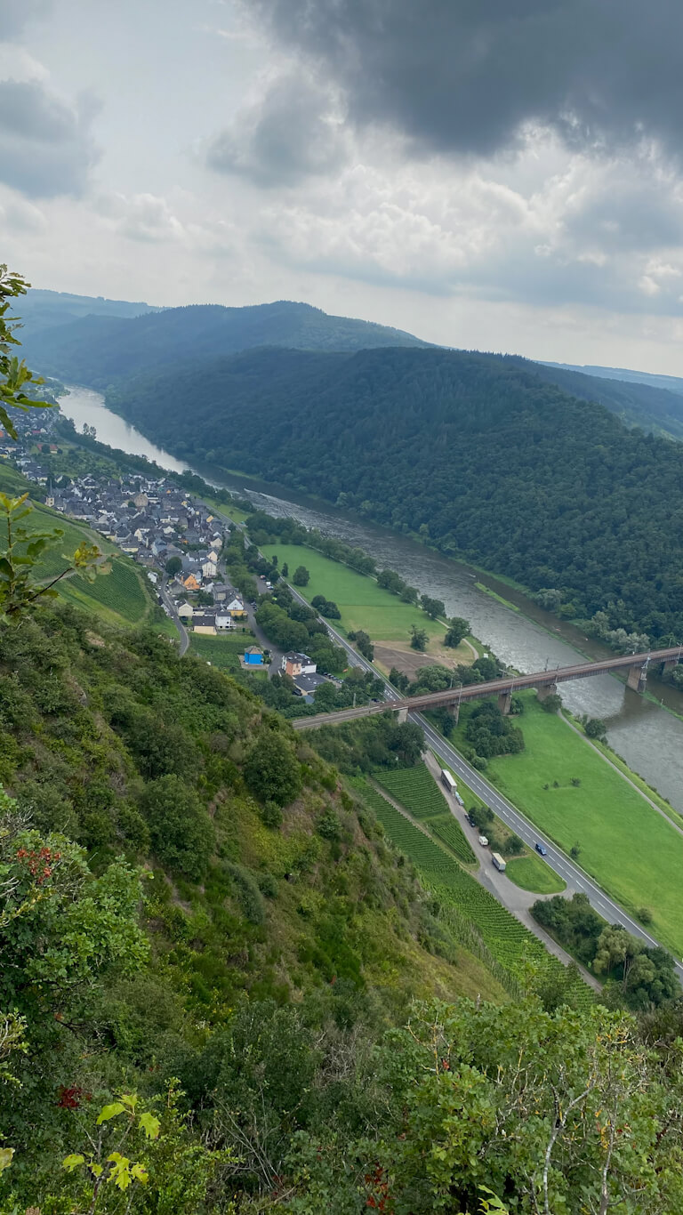 view of mosel river from aussichtspunkt ediger eller during bremmer calmont hike