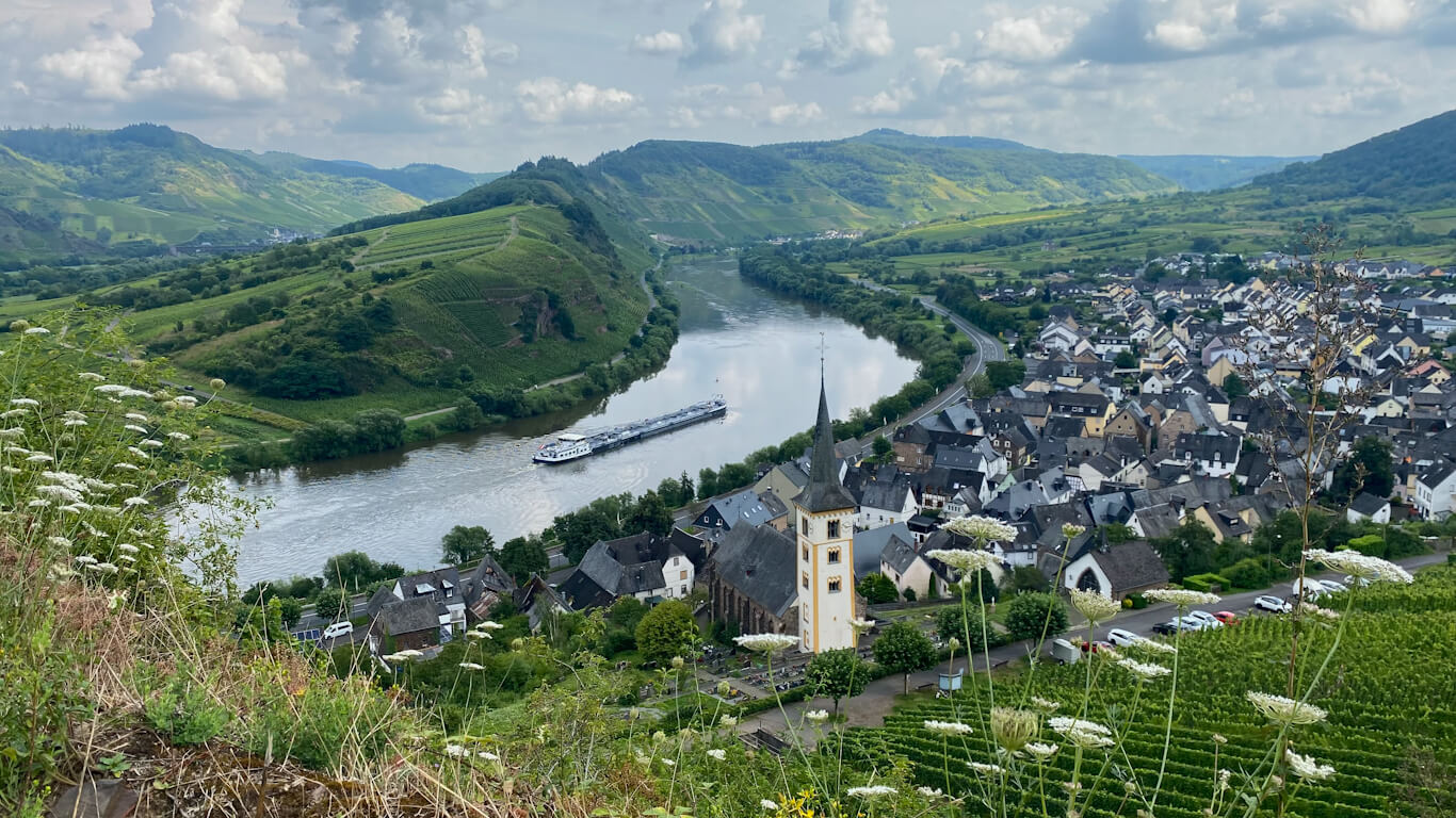 beautiful view of the bremm town and the mosel river from a viewpoint in bremmer calmont