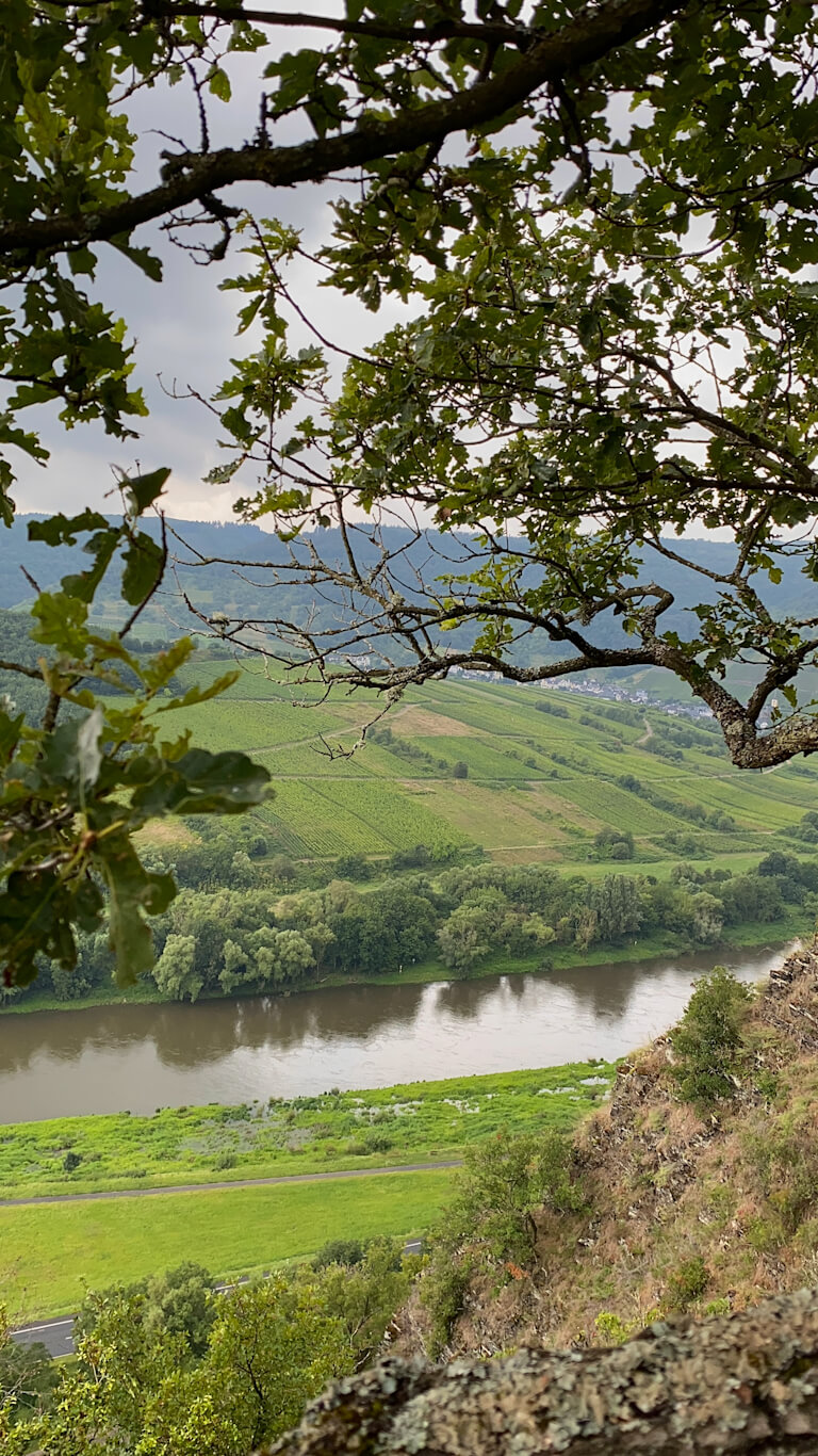 view of mosel river from aussichtspunkt eller todesangst during bremmer calmont hike