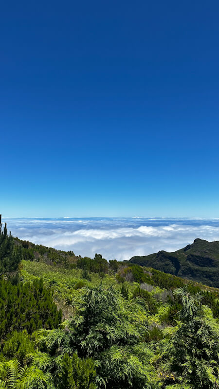 madeira_portugal_above_the_clouds